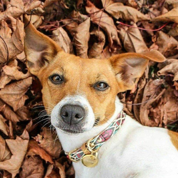 "Boho" Collar & Bracelet - ArgusCollar