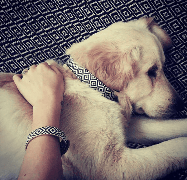 "BW Squary" Collar & Bracelet - ArgusCollar