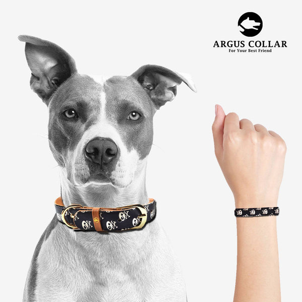 "Skull & Bones" Collar & Bracelet - ArgusCollar