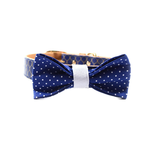 The "Blue Polka Dot" Dog Bow Tie - ArgusCollar