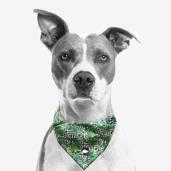 The "Palm Tree" Dog Bandana - ArgusCollar