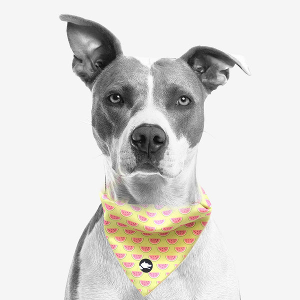 The "Watermelon" Dog Bandana - ArgusCollar