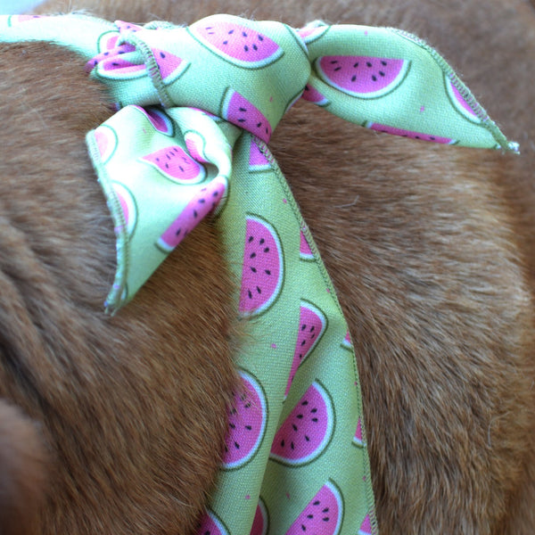 The "Watermelon" Dog Bandana - ArgusCollar