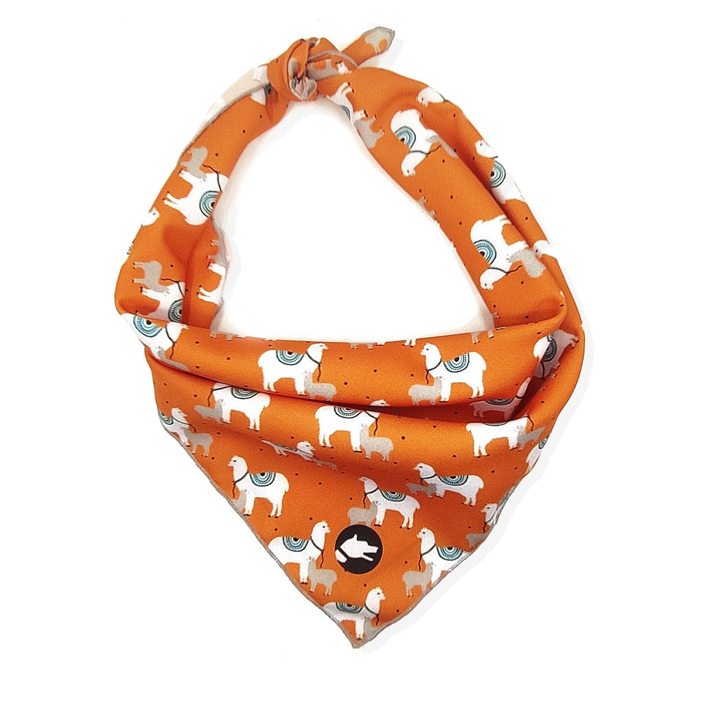 The "Lama" Dog Bandana - ArgusCollar