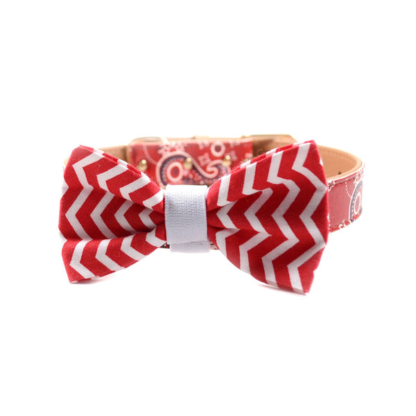 The "Red Chevron" Dog Bow Tie - ArgusCollar