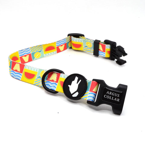 "The Watermelon Dog Collar" - ArgusCollar