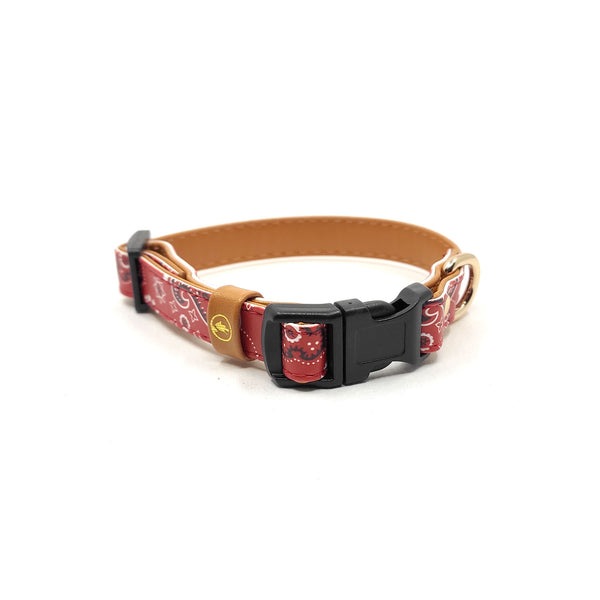 The "Bandana Classic" Cat Collar - ArgusCollar