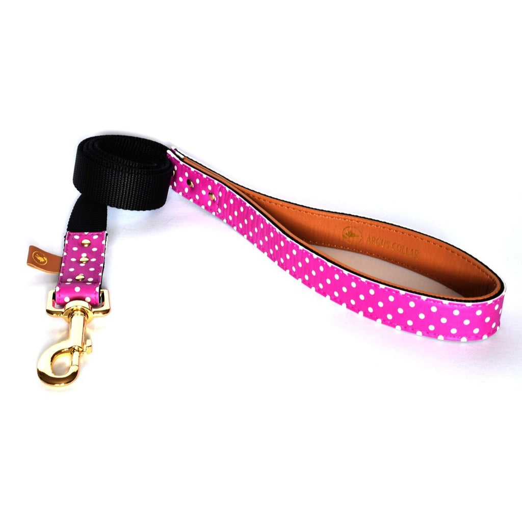 The "Pinky Dot" Leash - ArgusCollar