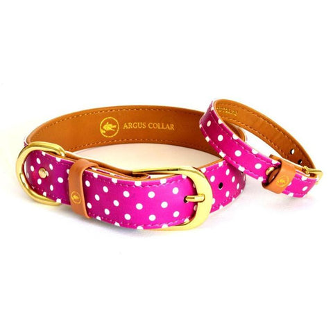 "Pinky Dot" Collar & Bracelet - ArgusCollar